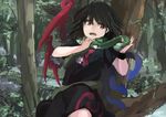  asymmetrical_wings bad_id bad_twitter_id black_dress black_hair constriction dress houjuu_nue ichiba_youichi open_mouth red_eyes rock snake solo touhou tree wings wristband 