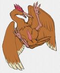  anus avian beak bird bird_feet fearow feathered_wings feathers feet feral male nintendo open_mouth pencil_(artwork) penis pok&eacute;mon python13rp simple_background sketch solo spearow spread_wings talons tapering_penis traditional_media_(artwork) video_games white_background wings yaroul 