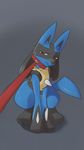  collar lucario nintendo pet pok&eacute;mon video_games 