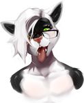  2015 bust_portrait eyewear feline fur girly glasses green_eyes hair hi_res looking_at_viewer lost-paw male mammal portrait proby tongue tongue_out white_hair 