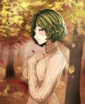  alternate_costume blush breasts commentary_request curly_hair falling_leaves from_side green_hair highres kazami_yuuka kikimifukuri large_breasts leaf long_sleeves looking_at_viewer profile red_eyes ribbed_sweater short_hair sleeves_past_wrists smile solo sweater touhou turtleneck wavy_hair 