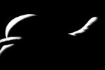  annonymouse anthro black_and_white butt cat dark_theme feline female mammal monochrome shadow solo 