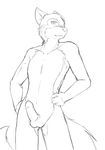  alistair_quincy anthro balls black_and_white canine coyote fur hand_on_hip humanoid_penis kurapika looking_at_viewer male mammal monochrome nude penis pose raven_wolf simple_background sketch solo white_background 
