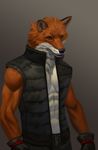  abs anthro athletic canine clothing dark-razvan fox fur gloves male mammal muscular orange_fur pecs vest white_fur 