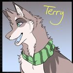  canine feral fur male mammal open_mouth scarf simple_background smile solo terryburrs 