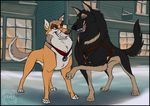  anthro balto balto_(film) canine chinook dog feral german german_shepherd harness male mammal non sevota shepherd sled_dog sleddog snow steele street streetdog 