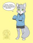  anthro canine child cub cute green_eyes invalid_tag male mammal solo sweatshirt tobby_wolf wolf young 