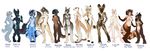  antelope anthro areola avian breasts canine chipmunk demicoeur female gazelle group gryphon lagomorph looking_at_viewer mammal meerkat mongoose mustelid navel nipples nude otter pussy rabbit red_panda rodent simple_background smile standing white_background wide_hips 