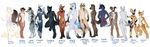  animal_genitalia anthro antlers balls butt canine cervine chipmunk deer demicoeur english_text equine erection feline flaccid group horn horse humanoid_penis hyena looking_at_viewer lynx male mammal nipples nude penis pubes rodent sheath simple_background smile standing text unicorn white_background wolf 