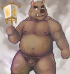  2012 anthro balls belly boar brown_fur flaccid fur humanoid_hands humanoid_penis lako male mammal moobs navel nipples overweight overweight_male penis porcine simple_background solo tusks 