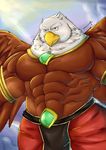  2016 abs anthro armor avian bald_eagle beak biceps big_biceps big_muscles bird bracelet brown_feathers cheek_tuft chococlass clothed clothing cloud colored detailed_background digital_drawing_(artwork) digital_media_(artwork) eagle emerald_(disambiguation) feathers front_view frown gem glare head_tuft jewelry light low-angle_view male manly muscular muscular_male outside pants pecs pinup portrait pose red_clothing serratus shaded shiny signature solo spread_wings standing sunlight three-quarter_portrait topless tuft two_tone_feathers white_feathers wings yellow_beak yellow_eyes 