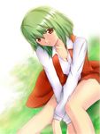  breasts cleavage collarbone green_hair hair_between_eyes kazami_yuuka looking_at_viewer mable medium_breasts red_eyes shirt sitting solo touhou white_shirt 