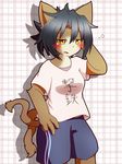  artist_request black_hair brown_eyes cat furry short_hair short_pants two_tails 