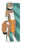  anthro canine clothing collar loincloth looking_at_viewer male mammal navel smile solo standing terryburrs 