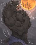  2016 abs anthro biceps big_muscles black_claws black_fur canine claws clothed clothing digital_media_(artwork) flakjacket0204 full_moon fur glowing glowing_eyes growth hi_res huge_muscles human japanese_text looking_at_self looking_down male mammal moon muscle_growth muscular open_mouth orange_eyes orange_moon outside pecs sharp_teeth side_view solo standing sweat tail_growth teeth text topless transformation translation_request were werewolf 
