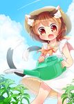  :3 :d aircraft airplane alternate_costume animal_ears bare_arms brown_hair cat_ears cat_tail chen cloud commentary_request condensation_trail day dress earrings fang hat highres ibaraki_natou jewelry looking_at_viewer multiple_tails nekomata open_mouth outdoors petticoat plant red_eyes ribbon short_hair single_earring sky smile solo sundress tail touhou two_tails watering_can 