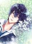  bian_(artist) black_hair blue_hair flower grey_eyes hibari_kyouya katekyou_hitman_reborn short_hair 