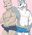  abs blush canine clothing colored duo erection male male/male mammal muscular pecs pink_background royalsobatya simple_background tenting underwear 