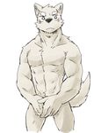  abs blush canine colored covering covering_self looking_at_viewer male mammal muscular pecs royalsobatya simple_background solo white_background 