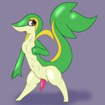  animal_genitalia animal_penis anthro barefoot brown_eyes erection genital_slit green_skin lizard looking_back male navel nintendo nude open_mouth penis pok&eacute;mon posexe reptile scalie simple_background slit snake snivy solo standing tongue video_games white_skin 