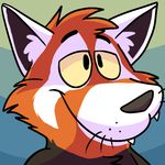  cam camcartoonfanatic feline icon male mammal red_panda toony 