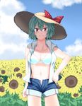  alternate_costume aqua_hair bikini_top bow cloud contemporary day field flower flower_field groin hand_on_hip hane_(hanegoya) hat hat_bow kazami_yuuka looking_at_viewer midriff navel open_clothes open_shirt plaid red_eyes shade shirt short_hair smile solo straw_hat sunflower touhou unbuttoned 