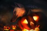  2017 ashesdrawn black_nose blue_eyes canine digital_media_(artwork) feral food fruit grass mammal night pumpkin smile solo wolf 