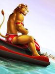  2016 anthro armband binoculars brown_fur brown_hair butt clothed clothing cross dream_and_nightmare facial_hair feline fur green_eyes hair inner_ear_fluff jetski lifeguard lion long_hair looking_at_viewer male mammal mane muscular outside pink_nose ponytail public raised_tail sitting smile solo speedo swimsuit tree underwear water wet whistle 