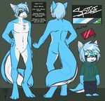  2014 anthro blue_fur blue_hair canine chibi clothed clothing english_text eyewear featureless_crotch fur glasses green_eyes hair hand_on_hip jacket male mammal mei5683 model_sheet nintendo nintendo_ds nude smile solo standing stylus text video_games white_fur wolf 