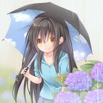  brown_eyes commentary_request creek_(moon-sky) flower hood hood_down hoodie hydrangea long_hair original rain shirt skirt smile snail solo umbrella very_long_hair youjo_(creek_(moon-sky)) 