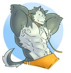  2015 abs anthro arm_tuft armpit_hair armpits canine chest_tuft clothing collar colored cute digital_drawing_(artwork) digital_media_(artwork) dog dot_eyes fluffy fluffy_tail fur grey_fur grey_nose grey_pubes half-length_portrait hands_behind_head happyending head_tuft husky leash light male mammal muscular muscular_male navel orange_clothing pinup portrait pose pubes serratus shaded shorts simple_background smile solo toony tuft white_background 