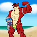  2016 abs anso/rez anthro armpits bandicoot beard biceps big_muscles bulge camo clothed clothing cloud crash_bandicoot_(series) crunch_bandicoot facial_hair flexing fur goatee hair looking_at_viewer male mammal manly marsupial metal muscular muscular_male outside pecs penis_outline pinup pose prosthetic prosthetic_arm sea smile solo speedo standing swimsuit teasing thong topless underwear undressing video_games water 