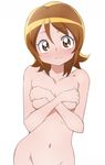  breasts brown_eyes brown_hair covering covering_breasts groin happinesscharge_precure! manji_(tenketsu) navel nude oomori_yuuko precure short_hair simple_background sketch small_breasts smile solo white_background 