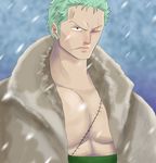  1boy green_hair jacket male_focus one-eyed one_piece punk_hazard roronoa_zoro scar snow solo 