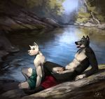  2015 5_toes anthro arm_support balls black_eyes black_fur black_nose boxers_(clothing) canine clothed clothing detailed_background digital_media_(artwork) digital_painting_(artwork) dog duo fur humanoid_feet humanoid_penis lake looking_back male mammal multicolored_fur nipples open_mouth outside partially_clothed penis pink_nose pink_penis pink_tongue plantigrade reclining rock signature sitting strange-fox toes tongue tongue_out topless tree two_tone_fur uncut underwear underwear_down water white_fur 