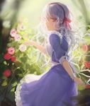  bangs day dress flower hair_between_eyes hair_ribbon kagerou_project kozakura_marry leclle long_hair looking_at_viewer outdoors pink_eyes plant purple_dress ribbon short_sleeves sketch solo standing sunlight 