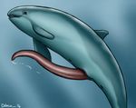  anus cetacean cum dolorcin fin grey_eyes harbour_porpoise leaking male mammal marine penis solo tapering_penis 