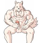  2016 abs anthro athletic balls biceps black_nose blush canine erection fur grin holding_penis humanoid_penis looking_at_viewer male mammal mayar muscular muscular_male nipples nude pecs penis pink_nipples pose presenting retracted_foreskin simple_background sitting smile solo spread_legs spreading tuft uncut white_background white_fur wolf 