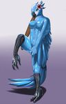  avian beak bird breasts female human jewel_(rio) macaw mammal mask nipples parrot paws rio rubber solo transformation wings 