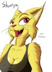  2016 anthro fan_character feline female lynx mammal punkydreamer 