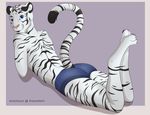  anthro boxers_(clothing) briefs butt clothing feet feline girly invalid_tag male mammal mature paws stripes tiger underwear white_tiger 