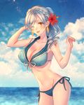  :d beach bikini blue_sky breasts cleavage cloud collarbone day earrings flower gen_3_pokemon groin hair_flower hair_ornament huge_breasts jewelry midriff moe_(hamhamham) navel one_eye_closed open_mouth outdoors personification pokemon ponytail silver_hair sky smile solo standing swimsuit walrein water 