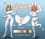  2016 anoddscot anthro buckteeth butt clitoris digital_media_(artwork) english_text female front_view fur ginger hair innter_ear_fluff lagomorph looking_at_viewer mammal model_sheet nipples open_mouth orange_hair paws pink_nipples pussy rabbit rear_view simple_background smile solo standing teeth text white_fur yellow_eyes 