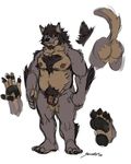  2016 5_fingers 5_toes anthro balls beard black_hair black_nose body_hair butt canine chest_hair digital_media_(artwork) elbow_tufts facial_hair flaccid fur grey_fur hair heterochromia hi_res humanoid_penis looking_at_viewer male mammal model_sheet multicolored_fur nipples nude penis plantigrade pubes raised_tail signature simple_background sketch soles solidasp solo standing tan_fur toes tuft uncut were werewolf white_background 
