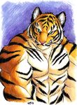  2010 abs anthro biceps big_muscles black_fur blue_background bust_portrait clothed clothing feline fur green_eyes looking_at_viewer male mammal multicolored_fur muscular muscular_male orange_fur pecs pink_nose portrait simple_background solo standing striped_fur stripes tiger topless traditional_media_(artwork) wfa whiskers white_fur 