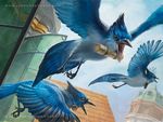  avian beak bird blue_jay building corvid dutch_angle feral flying front_view group lars_grant-west looking_at_viewer magic_the_gathering message official_art open_mouth side_view signature url 