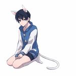  1boy animated black_hair blue_eyes cat_ears cat_tail free! male_focus nanase_haruka_(free!) short_hair shorts shota socks white_background white_legwear younger 