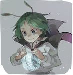  antennae black_cape cape green_eyes green_hair light_particles long_sleeves shirt short_hair simple_background smile solo touhou upper_body white_shirt wing_collar wriggle_nightbug zeni 