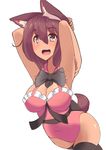  animal_humanoid big_breasts blush breasts brown_hair canine cleavage clothed clothing dog dog_humanoid female hair humanoid kazukoto mammal pose purple_eyes raised_arm skimpy smile 