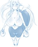  big_breasts blush breasts centaur centorea_shianus_(monster_musume) cleavage clothed clothing equine equine_taur female hair high-angle_view long_hair mammal monster_girl monster_musume pointy_ears rirouku smile solo taur 